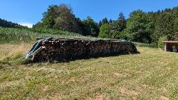 Brennholz Sonstiges Holz bei Gesamtabnahme günstiger