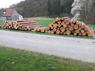 Rundholz Kiefer Deutsch Goritz