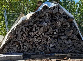 Brennholz Brennholz Esche