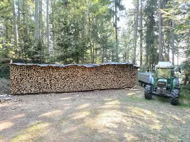 Brennholz Brennholz Buche