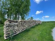 Brennholz Buche