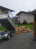 Brennholz Esche