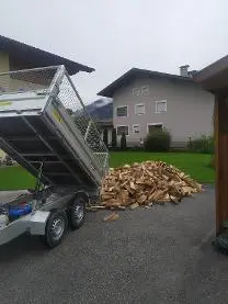 Brennholz Brennholz Esche