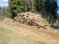 Brennholz Birke, Esche, Ahorn Diex