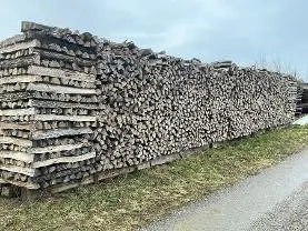 Brennholz Brennholz Sonstiges Holz Akazie