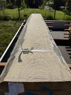 Schnittholz Ahorn - Nr. 24025