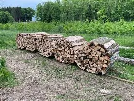 Brennholz Brennholz Sonstiges Holz, Buche
