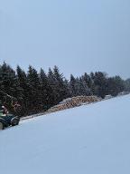 Eichberger Baggerungen und Forstdiensleistungen (Wegebau, sonstige forstliche Dienstleistung, Holzernte & Rückung, Baumabtragung/-pflege) Frankenburg 