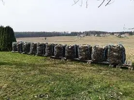 Brennholz Brennholz Buche