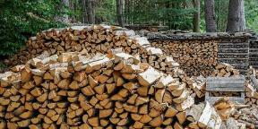 Brennholz Eibe, Wacholder, Buche Brennholz