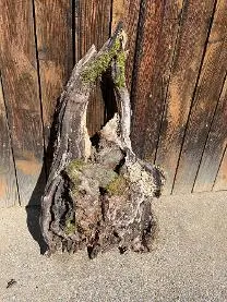 Holzprodukte Deko Holz