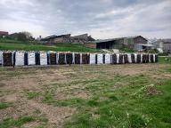 Brennholz Buche Scheitholz Buche 25,33,50cm