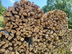 Brennholz Brennholz Esche