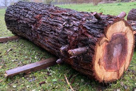 Sonstiges Holz