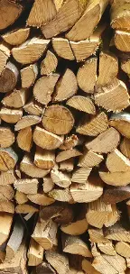 Brennholz Buche Aschaffenburg