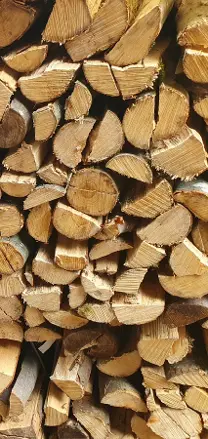 Brennholz Brennholz Buche