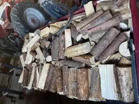 Brennholz Brennholz Fichte, Esche, Buche Trocken
