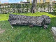 Rundholz Nuss Roihtam