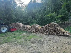 Brennholz Brennholz Eiche, Buche