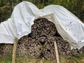 Brennholz Brennholz Esche, Eiche, Buche Brennholz