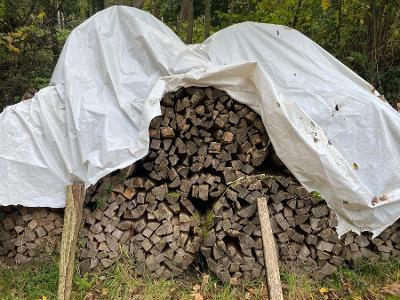 Esche, Eiche, Buche Brennholz