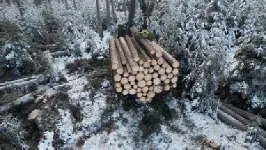 ad Wald besitzen ohne Arbeit