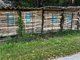 Brennholz Brennholz Buche