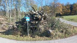 Hackschnitzel Hackgut Hartholz (>90%)