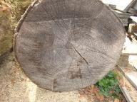 Rundholz Esche liegt schon 2 Jahre, wenig Risse! Walding