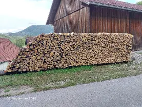 Brennholz Brennholz Esche