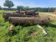 Rundholz Eiche Astrein Sipbachzell