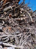 Hackgut Hart-/Weichholz gemischt Zwettl