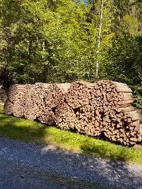 Brennholz Brennholz Esche