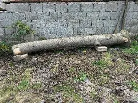 Rundholz Rundholz Sonstiges Holz