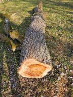 Rundholz Birne Rüstorf