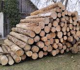 Rundholz Rundholz Kiefer Astrein