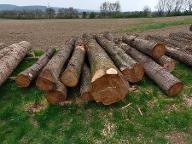 Rundholz Kirsche Wildkirsche Reichersdorf