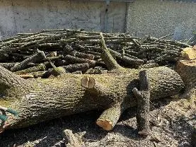 Rundholz Rundholz Eiche