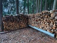 Brennholz Fichte, Kiefer Weichholz Prigglitz
