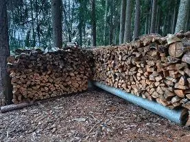 Brennholz Brennholz Fichte, Kiefer Weichholz
