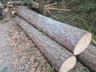 Rundholz Kiefer A-Qualität St.Lorenzen a.W.