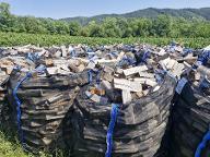 Brennholz Eibe, Fichte, Buche