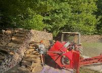 Brennholz Fichte, Birke, Esche Wilhelmsburg 