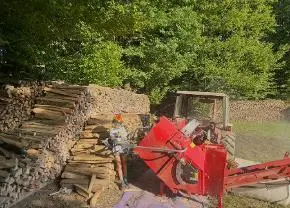 Brennholz Brennholz Fichte, Birke, Esche