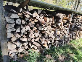 Brennholz Brennholz Buche