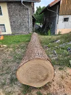 Rundholz Eiche Eugendorf