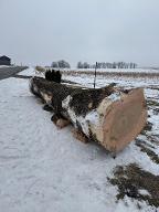 Rundholz Esche Konradsreuth 