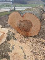 Rundholz Linde Neukirchen