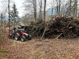 Hackschnitzel Hackgut Hart-/Weichholz gemischt