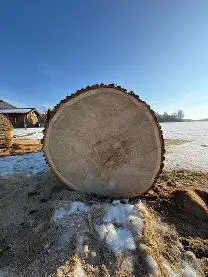 Rundholz Rundholz Eiche Von Grob bis Reinastig